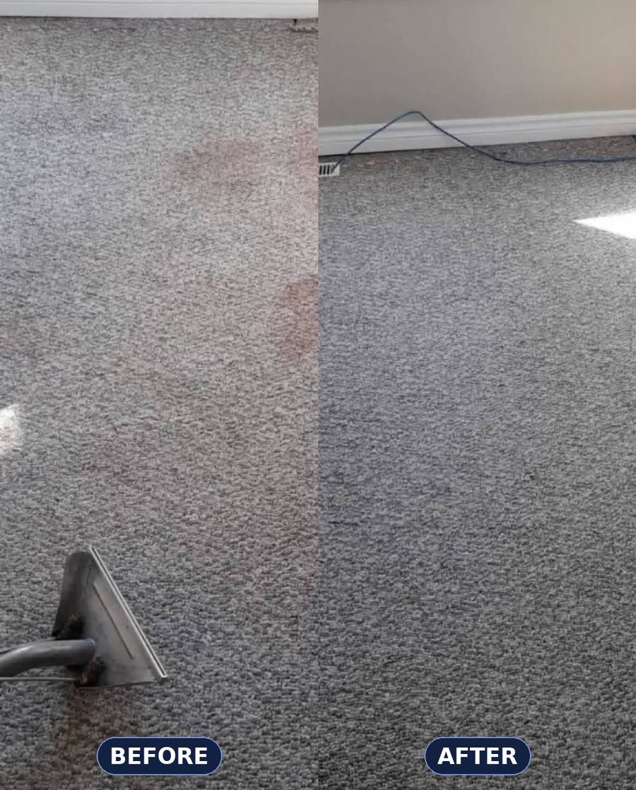 Carpet steam cleaning before and after by Abby Cleaning Co.